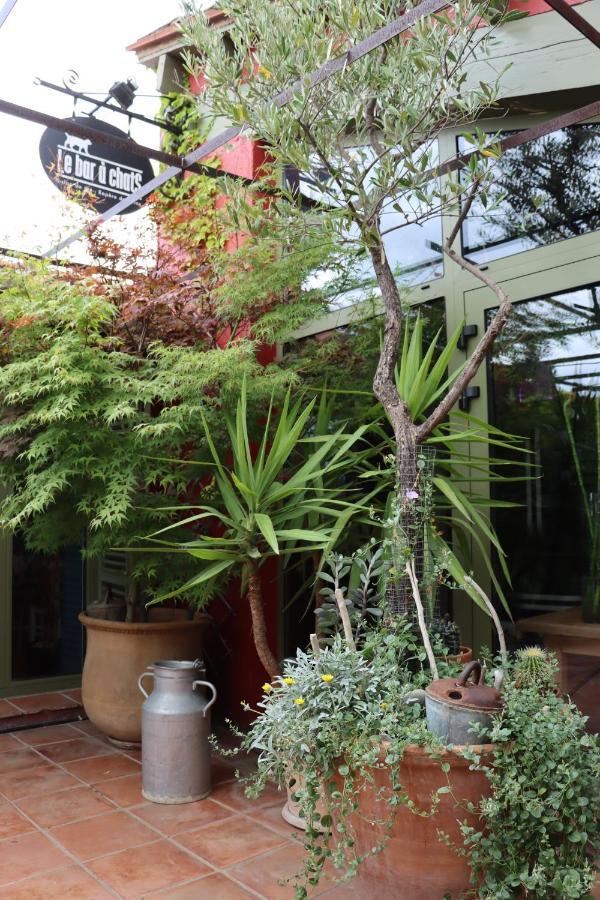 Grand Loft De Charme, Place Du Village A Thuir Buitenkant foto